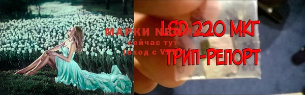 молекула духа Няндома
