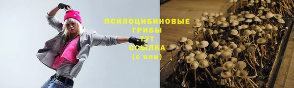 прущие крисы Арсеньев