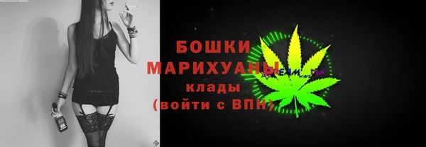 прущие крисы Арсеньев