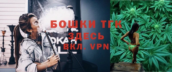 прущие крисы Арсеньев
