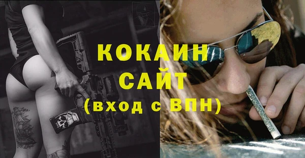 прущие крисы Арсеньев